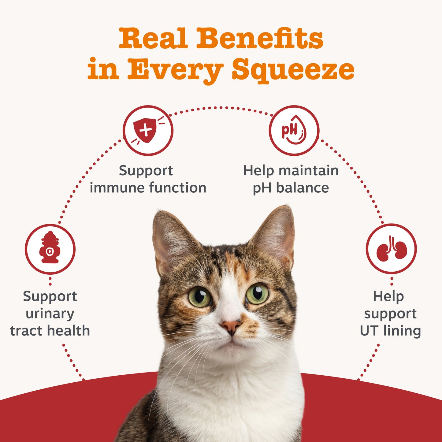 Zesty Paws Urinary & Renal Care Paste